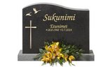 Kivilähde 111